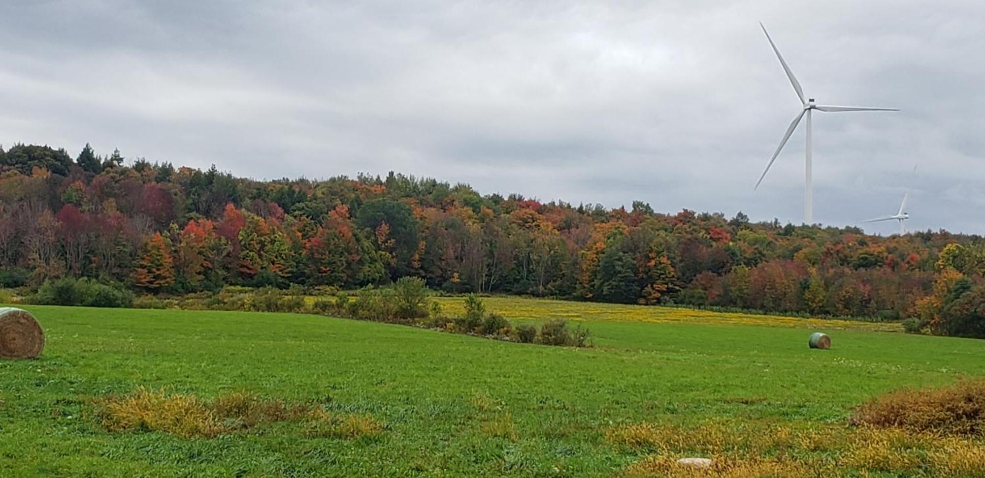 Cozy Country Farm Stay Fredonia Exterior foto